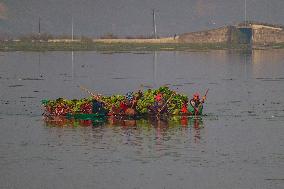 Daily Life In Kashmir, India