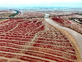 Red Beach Scenery in Qingdao