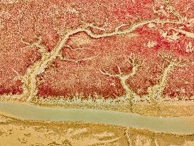 Red Beach Scenery in Qingdao