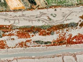 Red Beach Scenery in Qingdao