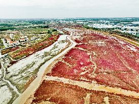 Red Beach Scenery in Qingdao