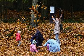 Sunny Autumn In Poland