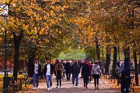 Sunny Autumn In Poland