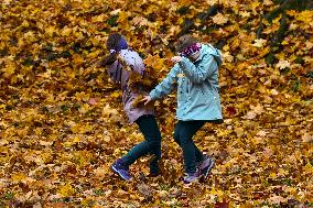 Sunny Autumn In Poland