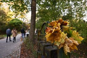 Sunny Autumn In Poland