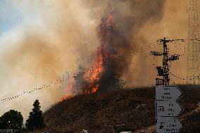 Hezbollah Targets Rosh Pina Settlement - Israel