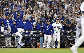 Baseball: MLB Championship Series