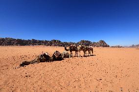 Bedouin Life - Jordan