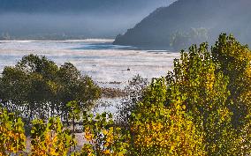 Autumn Scenery - China