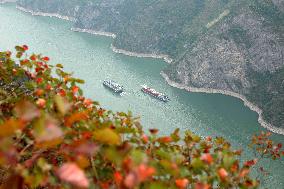 Autumn Scenery - China