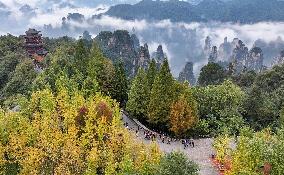 Autumn Scenery - China