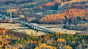 Autumn Scenery - China