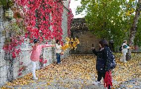 Autumn Scenery - China