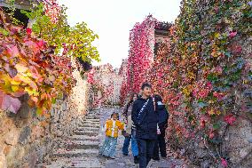 Autumn Scenery - China