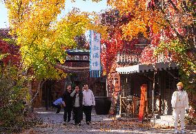 Autumn Scenery - China