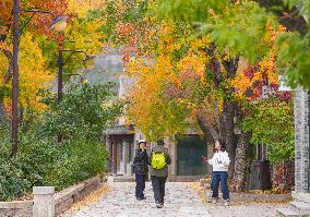 Autumn Scenery - China