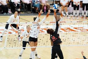 VOLLEY - Evento - NCAA - Texas Women vs Georgia Women