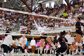 VOLLEY - Evento - NCAA - Texas Women vs Georgia Women