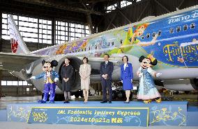 JAL unveils plane with Disney-themed livery