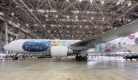 JAL unveils plane with Disney-themed livery