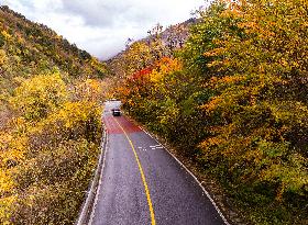 Shennongjia Forestry District