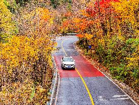 Shennongjia Forestry District