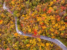 Shennongjia Forestry District