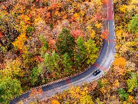 Shennongjia Forestry District