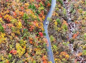 Shennongjia Forestry District