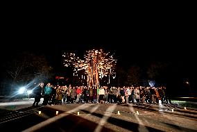 Tree of Memory installation unveiled in Zaporizhzhia