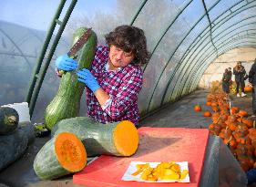 Warsaw Pumpkin Festival