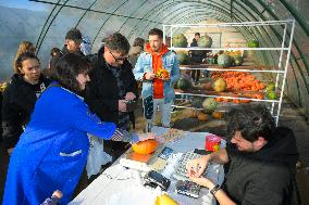 Warsaw Pumpkin Festival