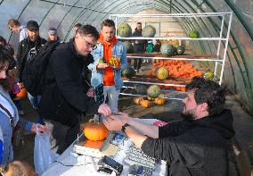 Warsaw Pumpkin Festival