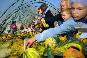 Warsaw Pumpkin Festival