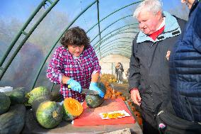 Warsaw Pumpkin Festival