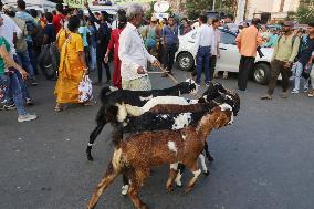 India Goat Meat Industry