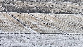 Heavy Snow Hit Tianshan Mountain in Hami