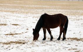 Heavy Snow Hit Tianshan Mountain in Hami