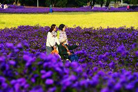 Beijing Builds Garden City