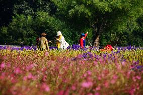 Beijing Builds Garden City