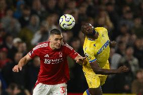 Nottingham Forest FC v Crystal Palace FC - Premier League