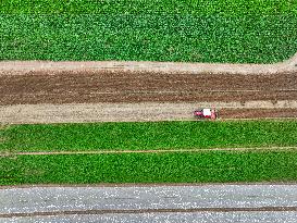 Field Agriculture