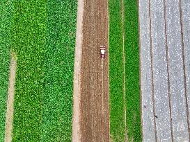 Field Agriculture