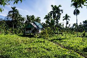 Daily Life In Betong, Yala Province, Thailand