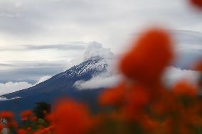 Atlixco Monumental Catrinas Exhibition