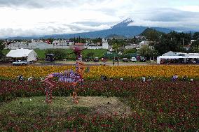 Atlixco Monumental Catrinas Exhibition