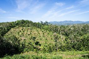 Daily Life In Betong, Yala Province, Thailand