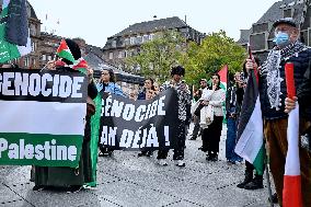 Demonstration in Support of Lebanon and Palestine - Strasbourg