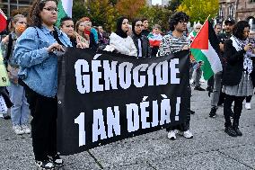 Demonstration in Support of Lebanon and Palestine - Strasbourg