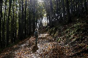 Autumn Colours In Carpathian Mountains In Czech Republic